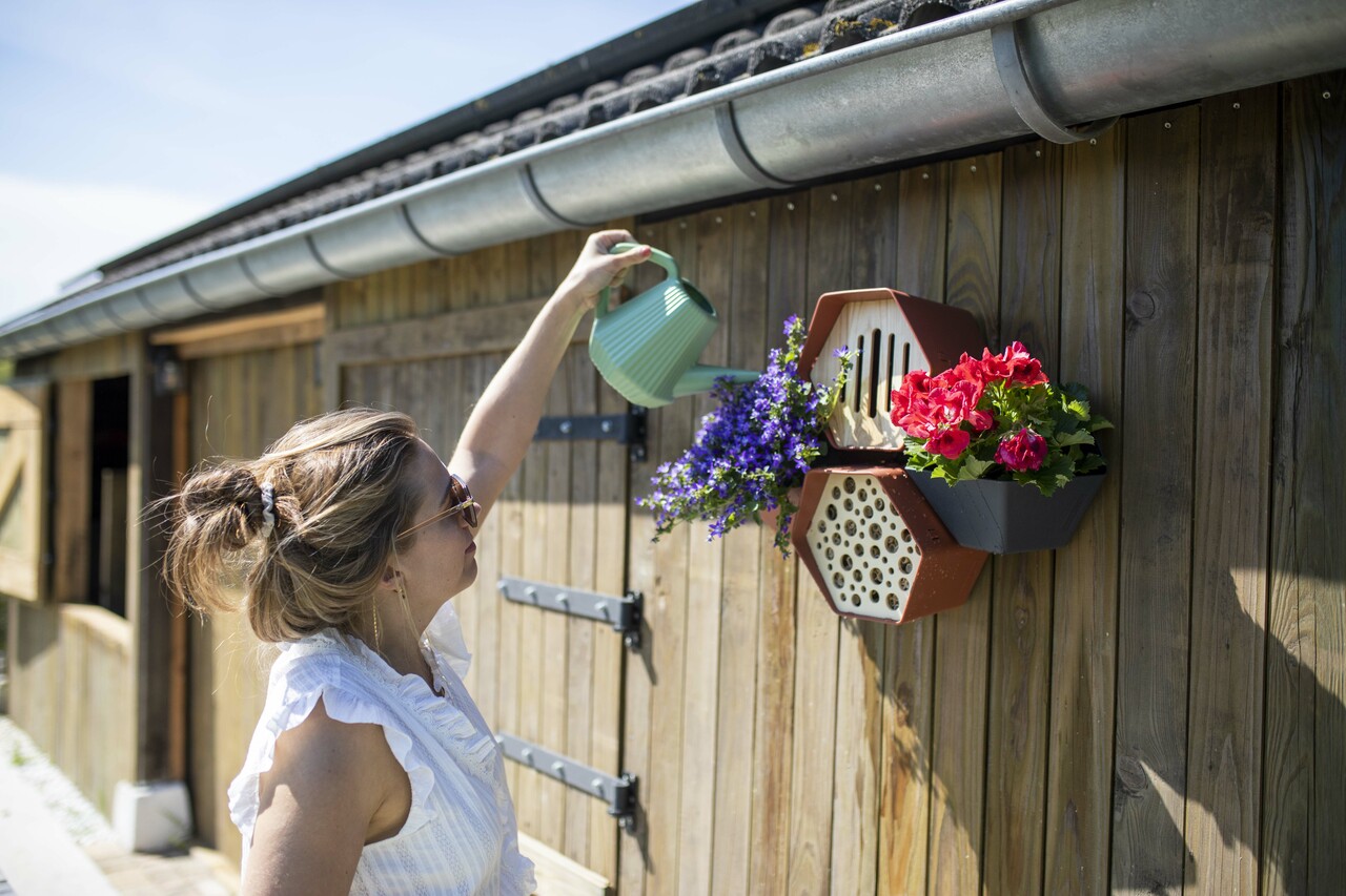 Vlinderhuisje Hive Bruin  Vlinderhuisje Hive Bruin
