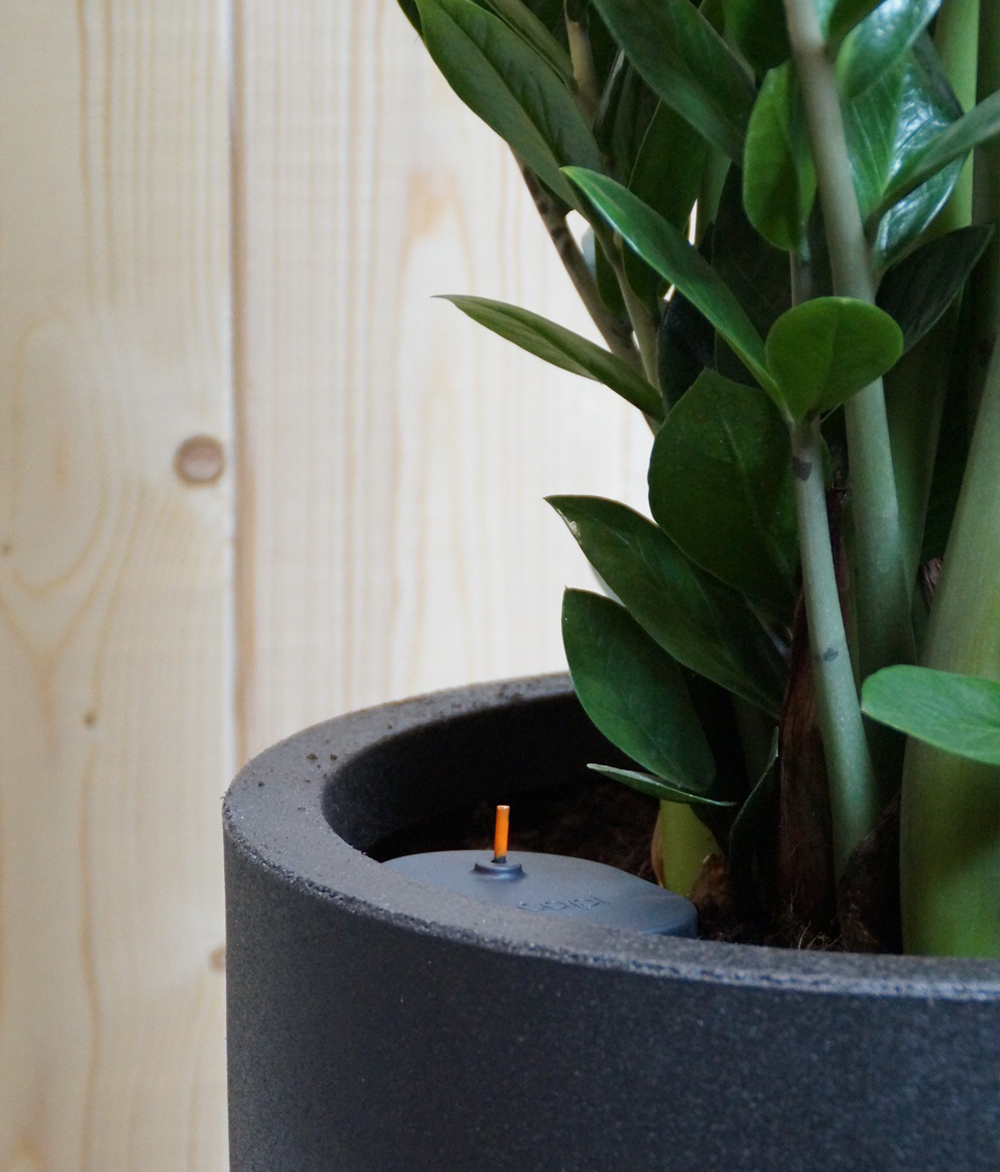 Hydrocan 1 Liter Antraciet Hydrocan 1 Liter Antraciet