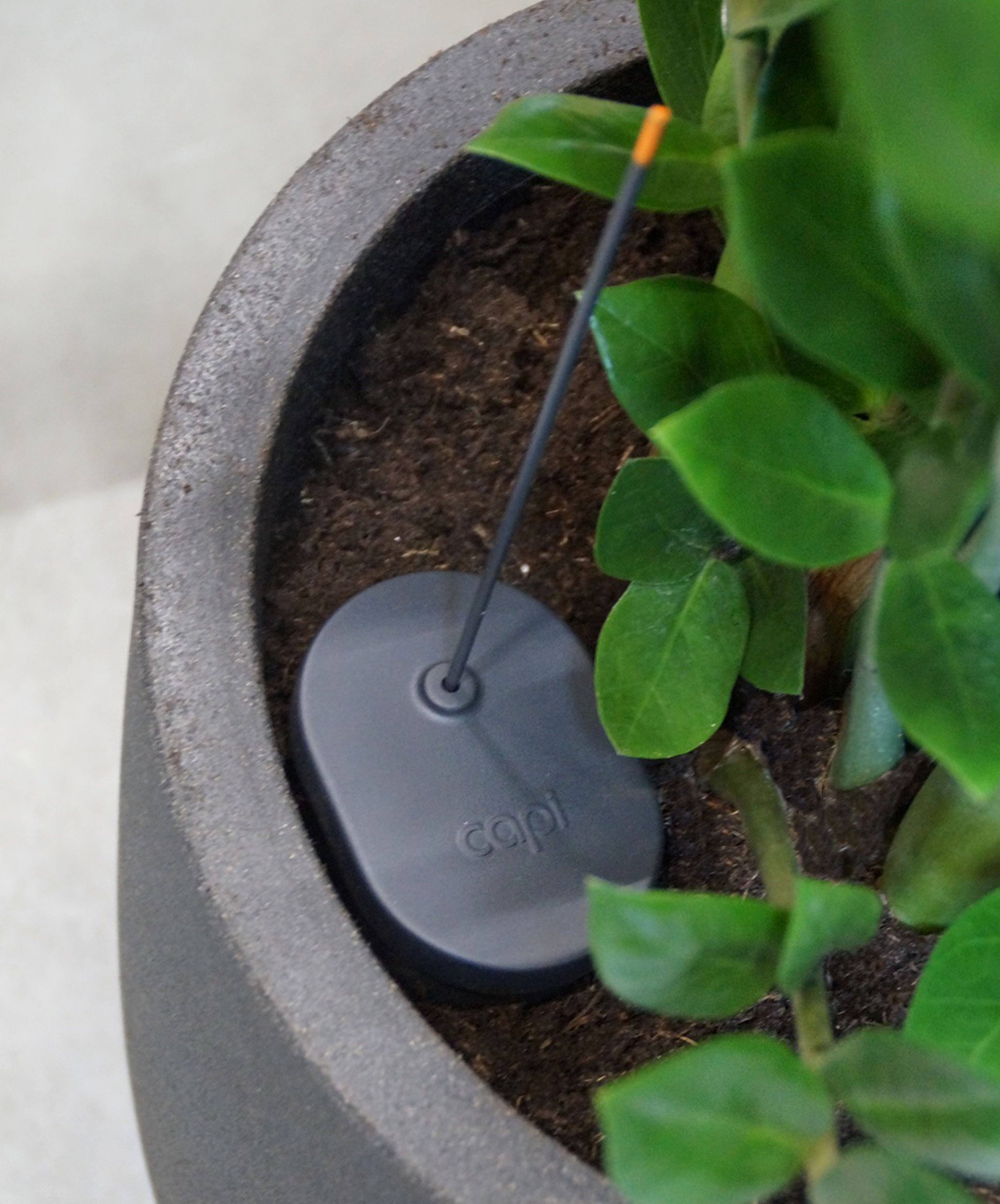 Hydrocan 1 Liter Antraciet Hydrocan 1 Liter Antraciet