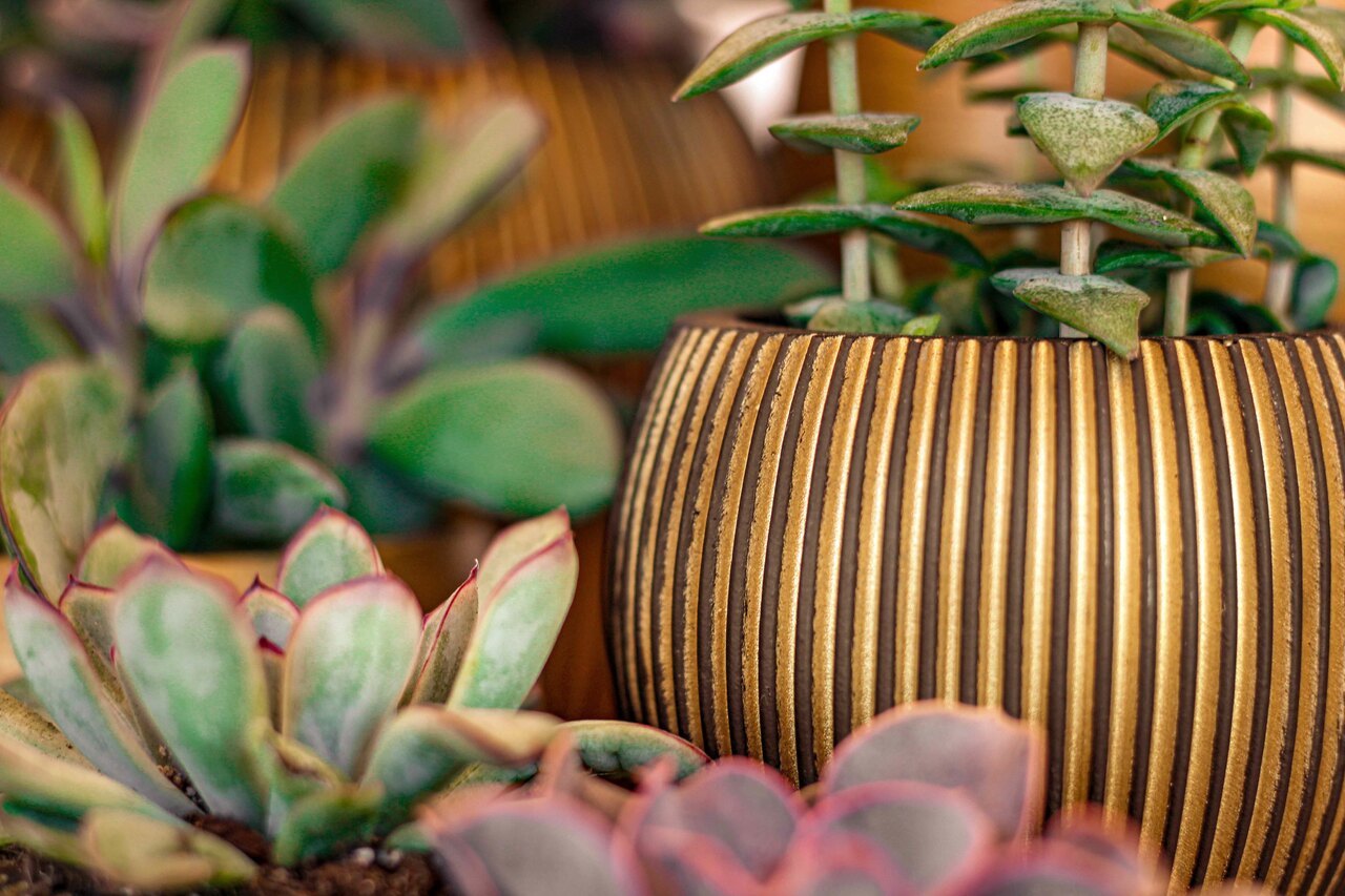 Vaas Bol Groove Zwart Goud Vaas Bol Groove Zwart Goud