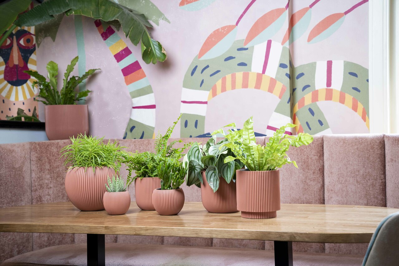 Vaas Cilinder Groove Roze