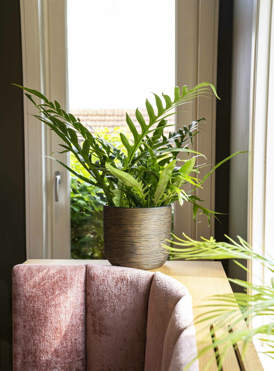 Pot Bol Rib Zwart Goud Pot Bol Rib Zwart Goud