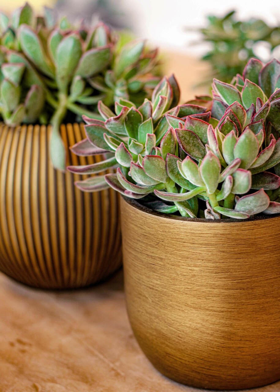 Pot Bol Retro Goud Pot Bol Retro Goud