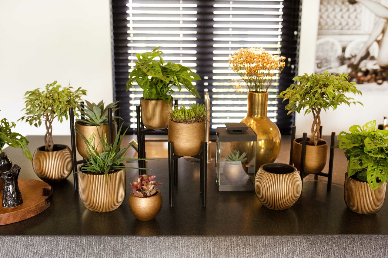 Pot Bol Retro Goud Pot Bol Retro Goud