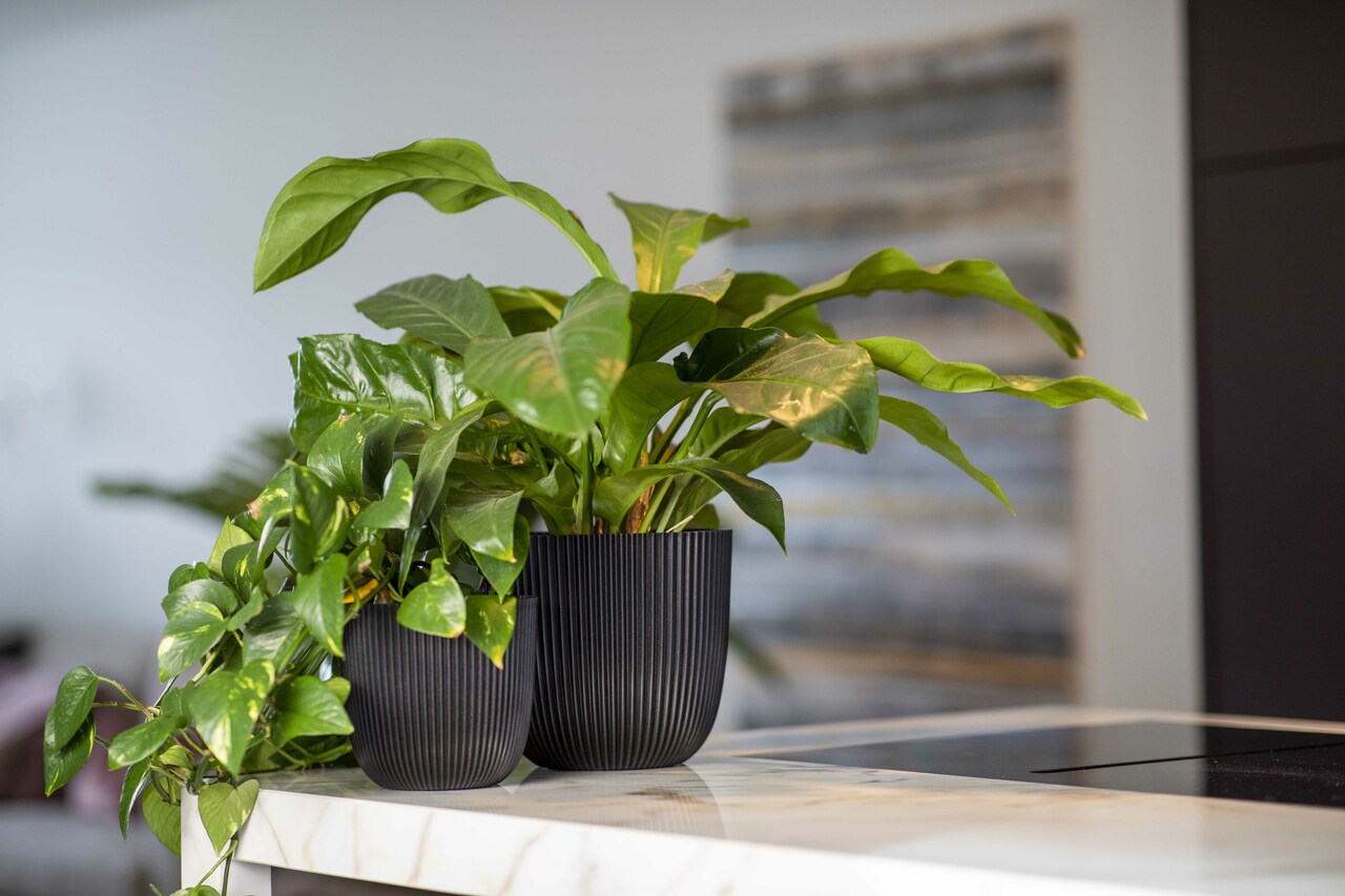 Pot Bol Groove Textiel Zwart Pot Bol Groove Textiel Zwart