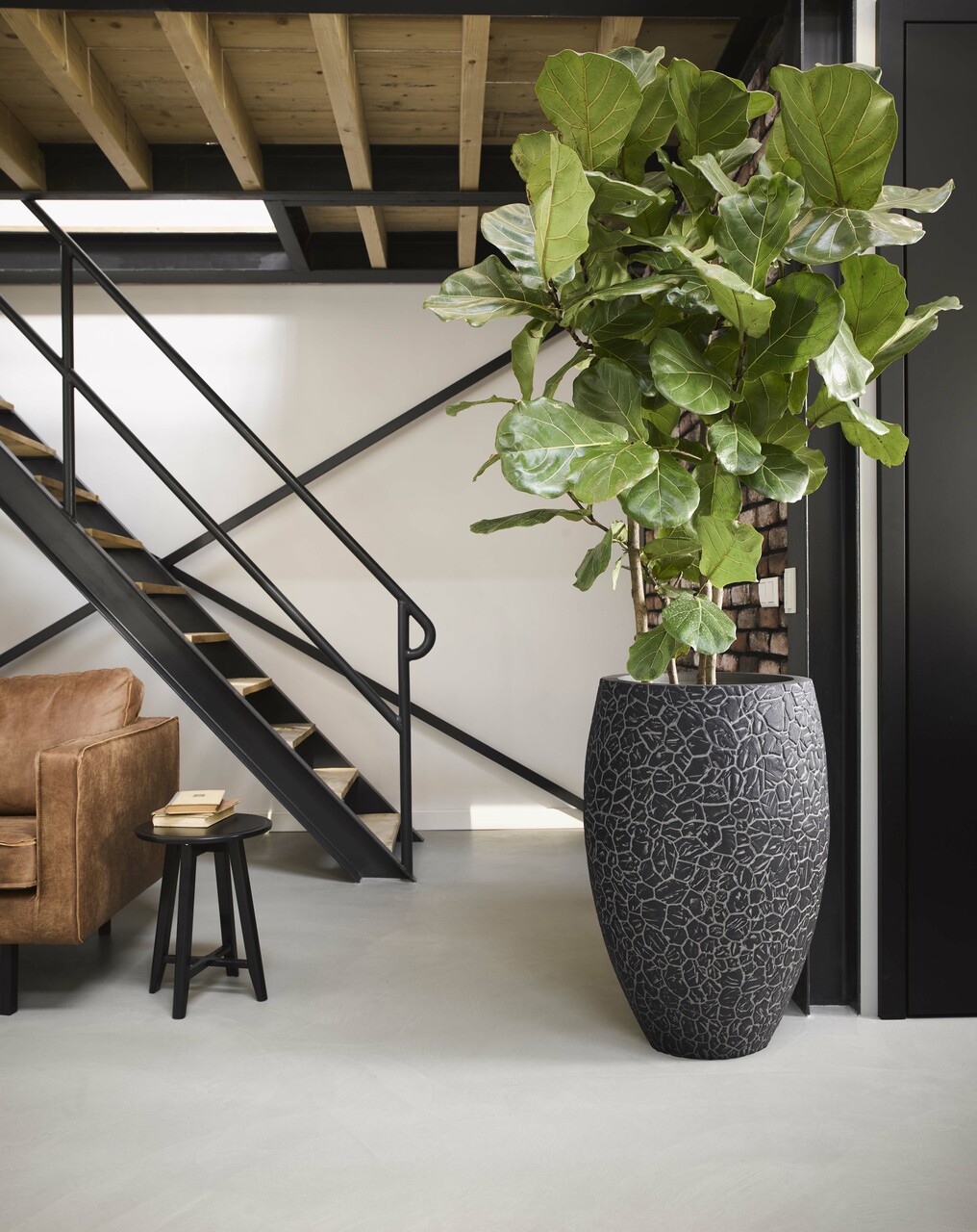 Vaas Elegant Deluxe Clay NL Antraciet