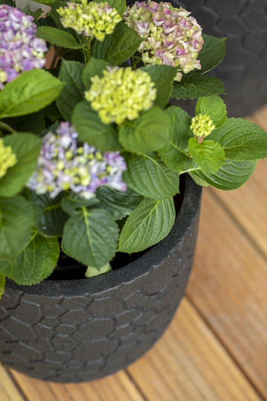 Pot Bol Clay NL Zwart