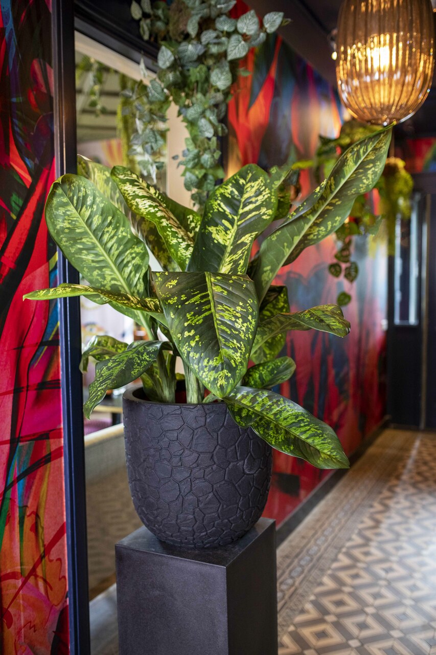 Pot Bol Clay NL Zwart Pot Bol Clay NL Zwart