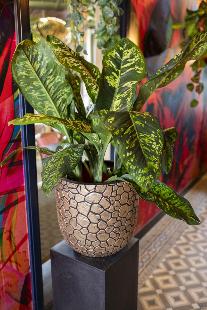 Pot Bol Clay NL Goud Zwart Pot Bol Clay NL Goud Zwart