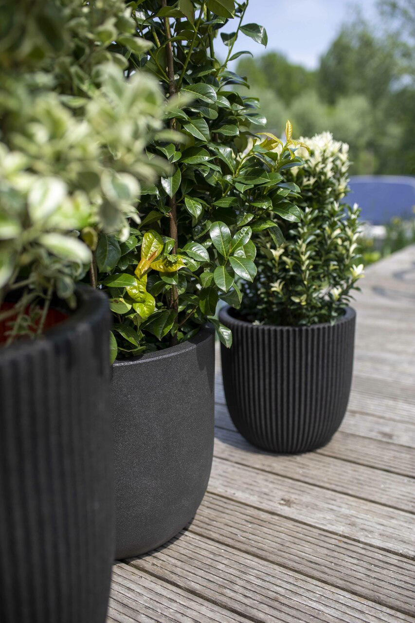 Pot Bol Groove NL Zwart Pot Bol Groove NL Zwart