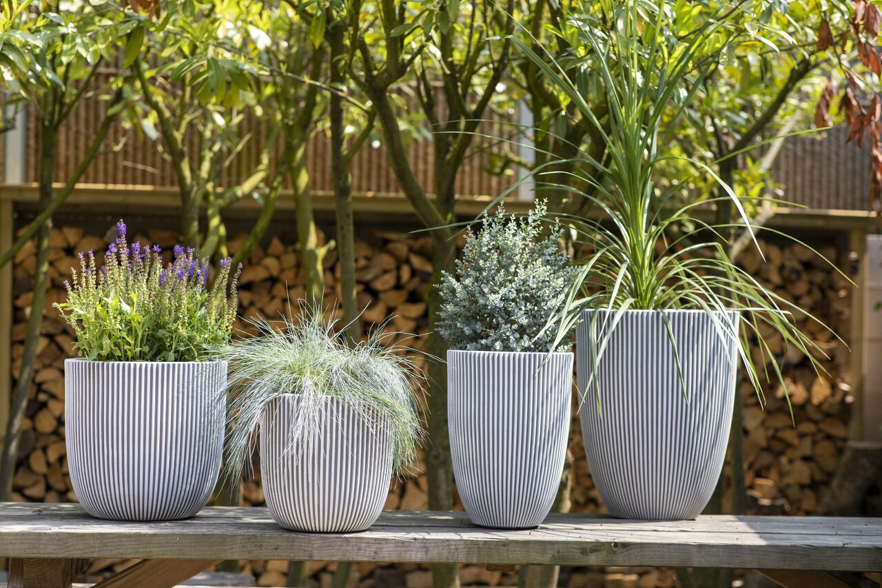 Pot Bol Groove NL Ivoor Pot Bol Groove NL Ivoor