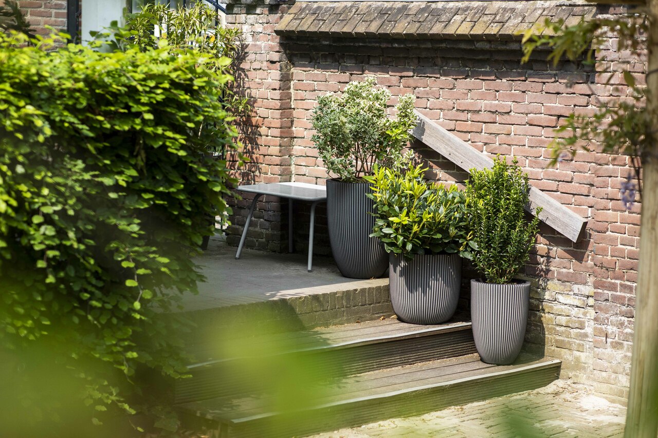 Vaas Elegant Laag Groove NL Antraciet Vaas Elegant Laag Groove NL Antraciet