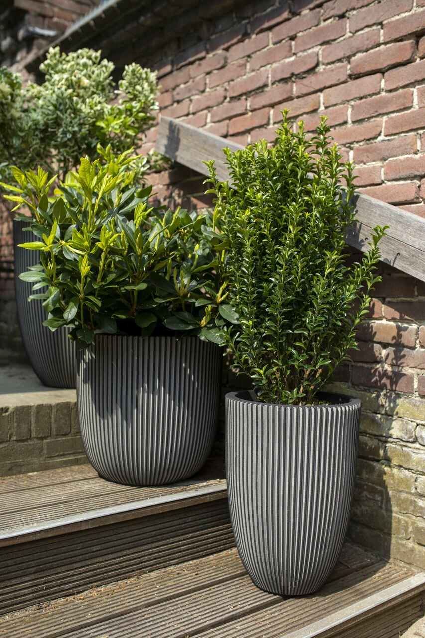 Pot Bol Groove NL Antraciet Pot Bol Groove NL Antraciet