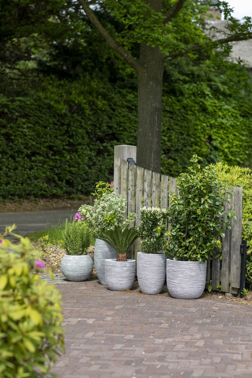 Vaas Elegant Laag Rib NL Ivoor
