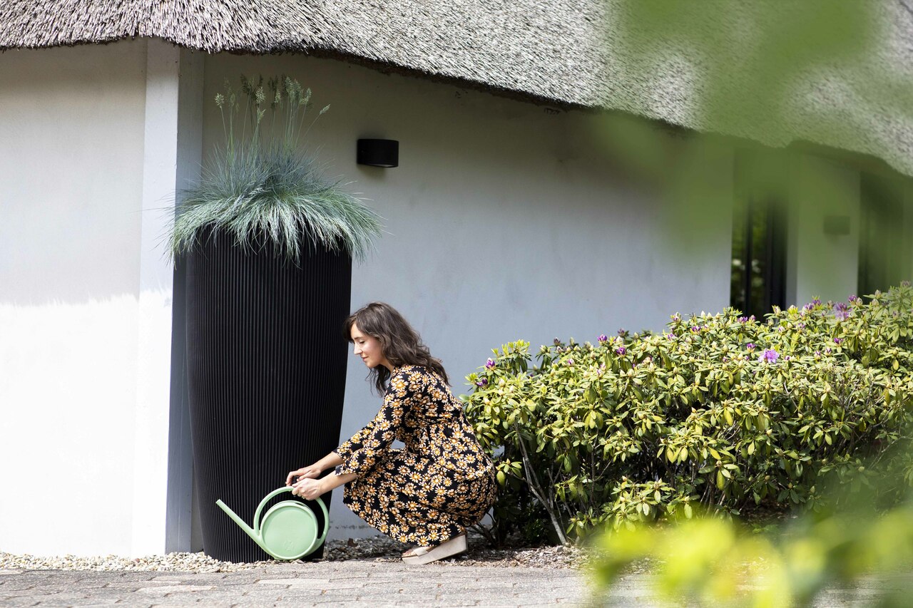 Gieter Matcha Oud Groen