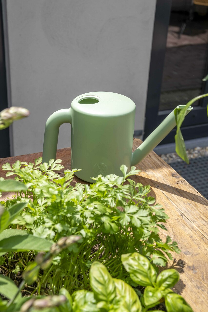 Gieter Kappu Oud Groen