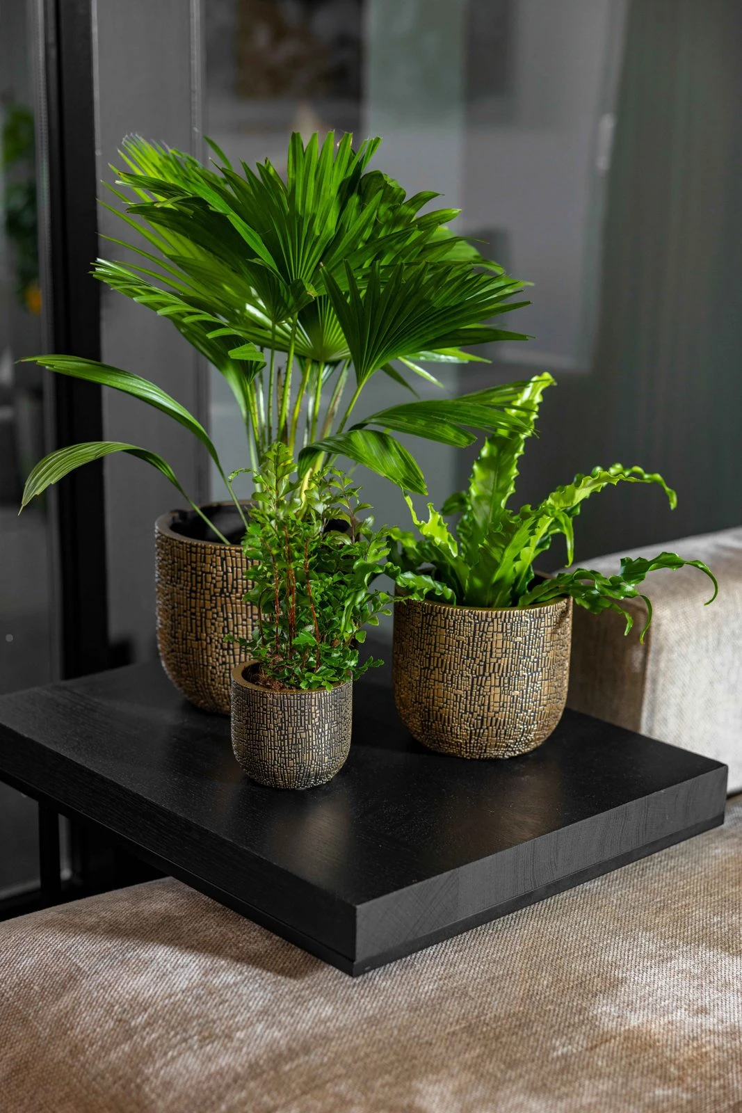 Indoor Skin Planter Ball Black gold