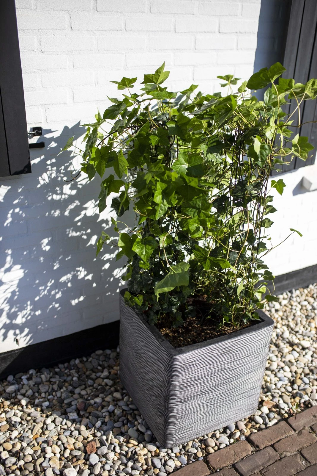 Planter Square Rib Anthracite