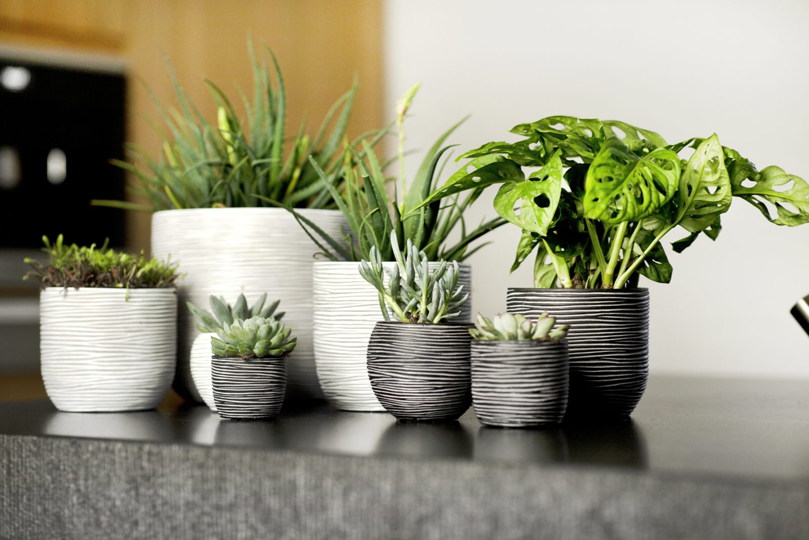 Indoor Rib Planter Ball Anthracite