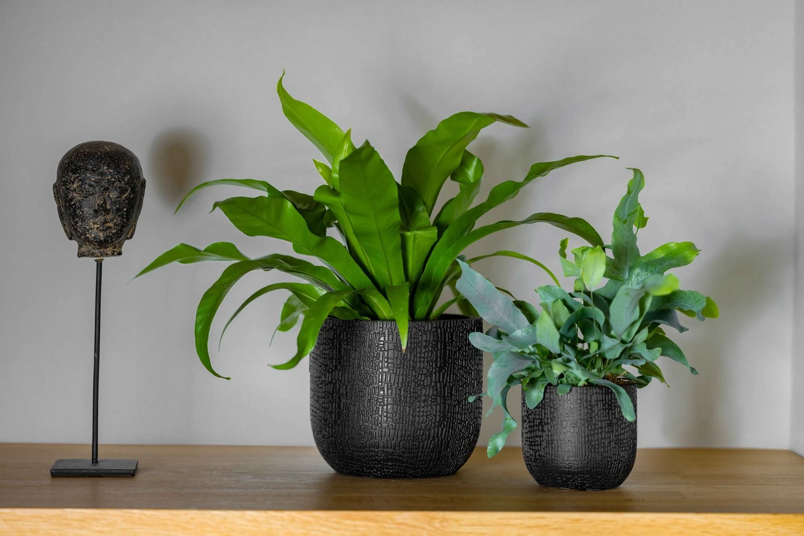 Planter ball Craft Black